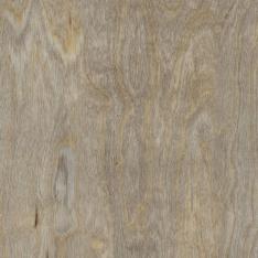 Spacia Farbe Bleached Elm