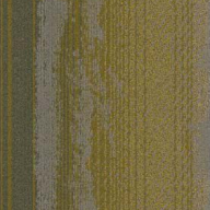 Design Lokal Farbe Seattle Opry 