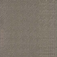 Check Farbe Broadcloth