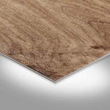 ASPECT  Drowning oak light