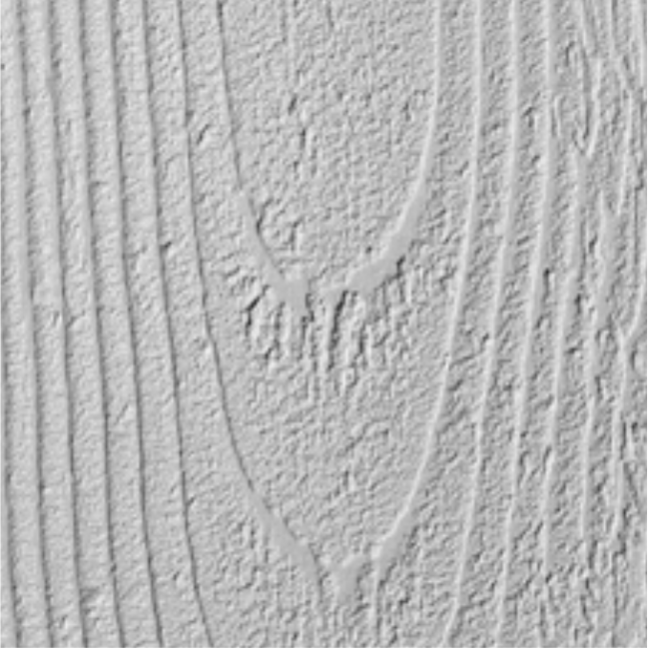 Maserierter Feinputz