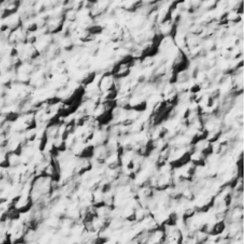 Grobe Putztextur