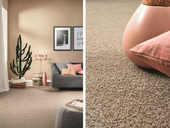 Passion 1003 Ambiente